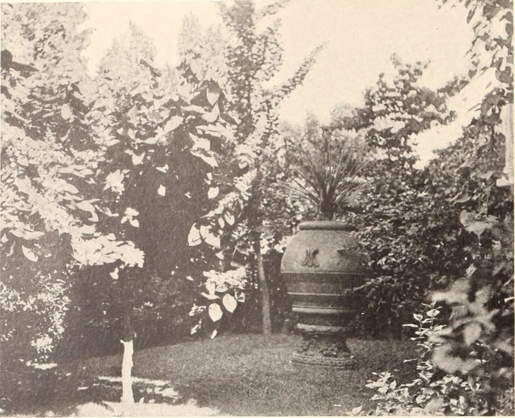 An illustration from American homes and gardens, 1905, leaf 265