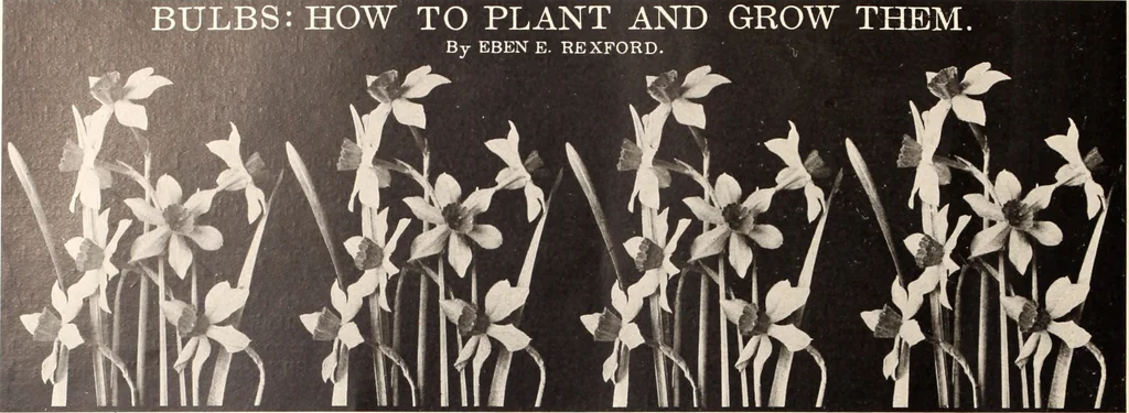 An illustration from American homes and gardens, 1905, leaf 267