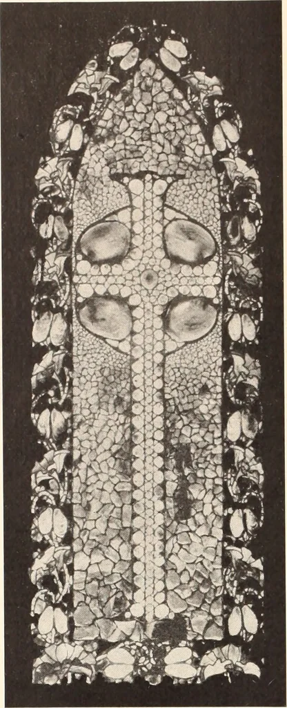 An illustration from American homes and gardens, 1905, leaf 271