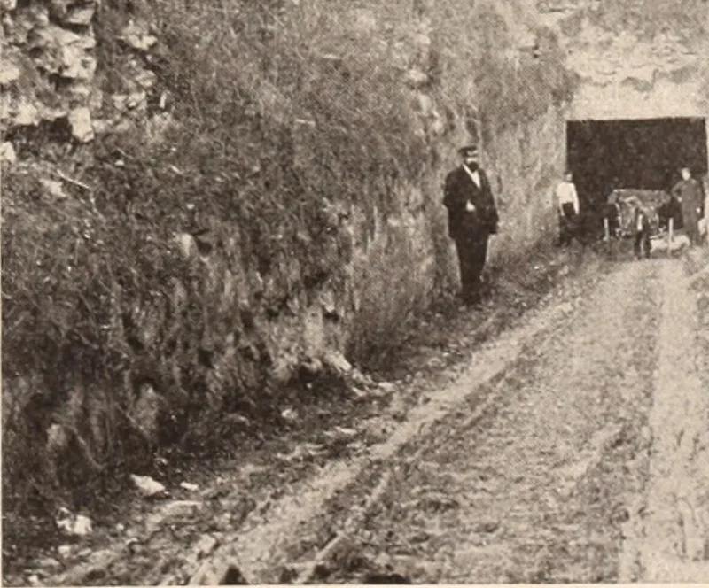 An illustration from American homes and gardens, 1905, leaf 272
