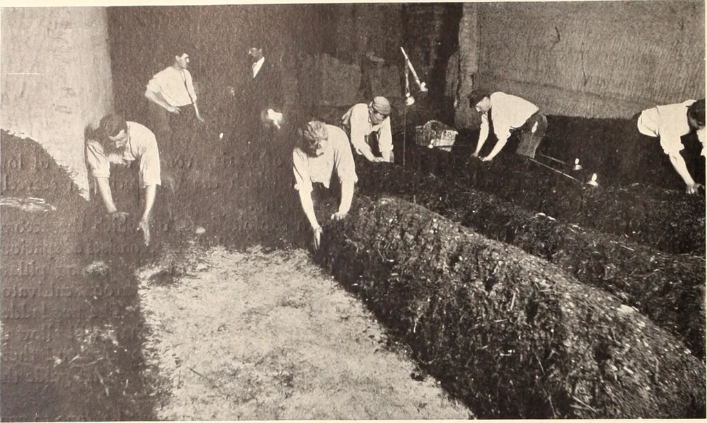An illustration from American homes and gardens, 1905, leaf 273