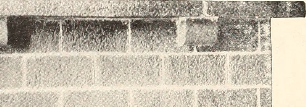 An illustration from American homes and gardens, 1905, leaf 279