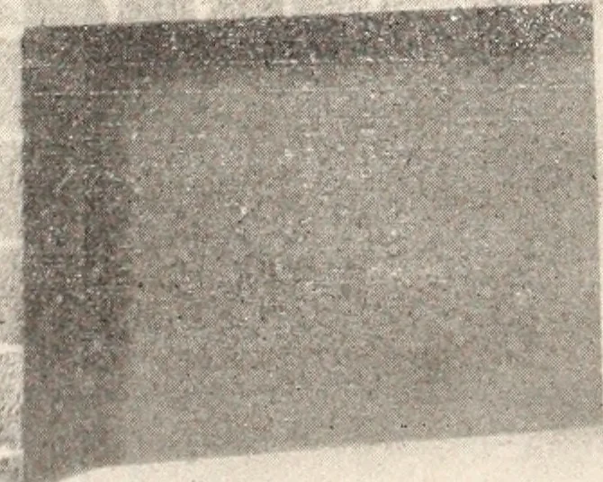 An illustration from American homes and gardens, 1905, leaf 279