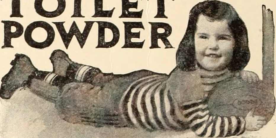 An illustration from American homes and gardens, 1905, leaf 299