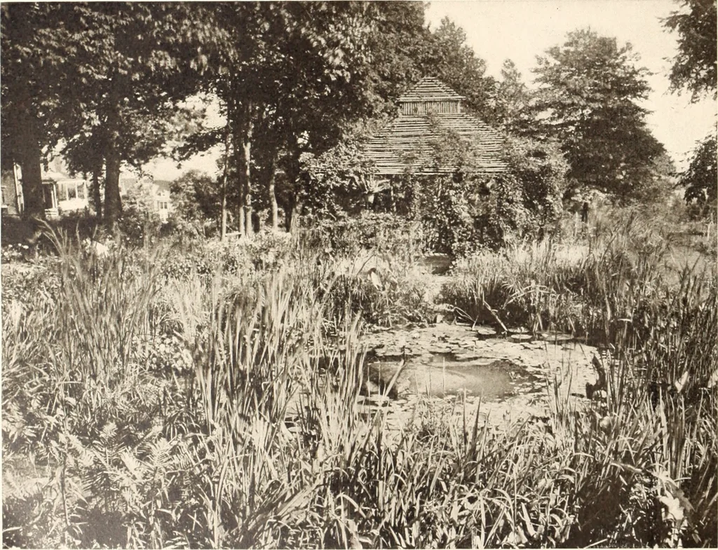 An illustration from American homes and gardens, 1905, leaf 317