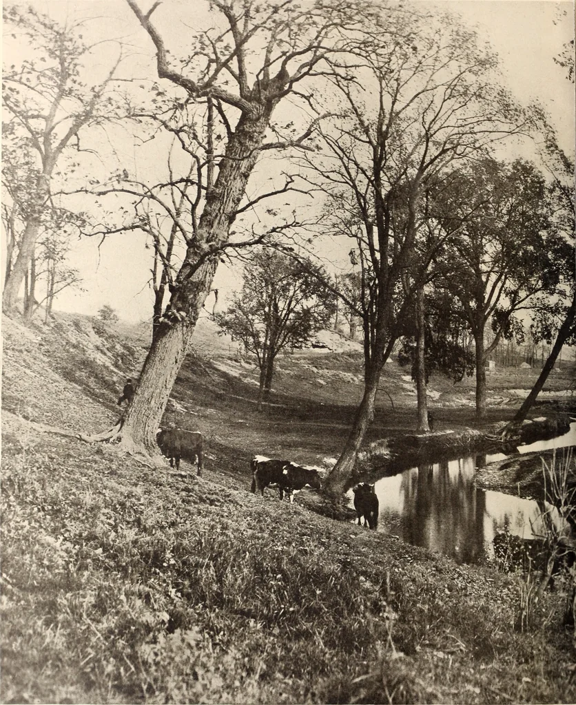 An illustration from American homes and gardens, 1905, leaf 321