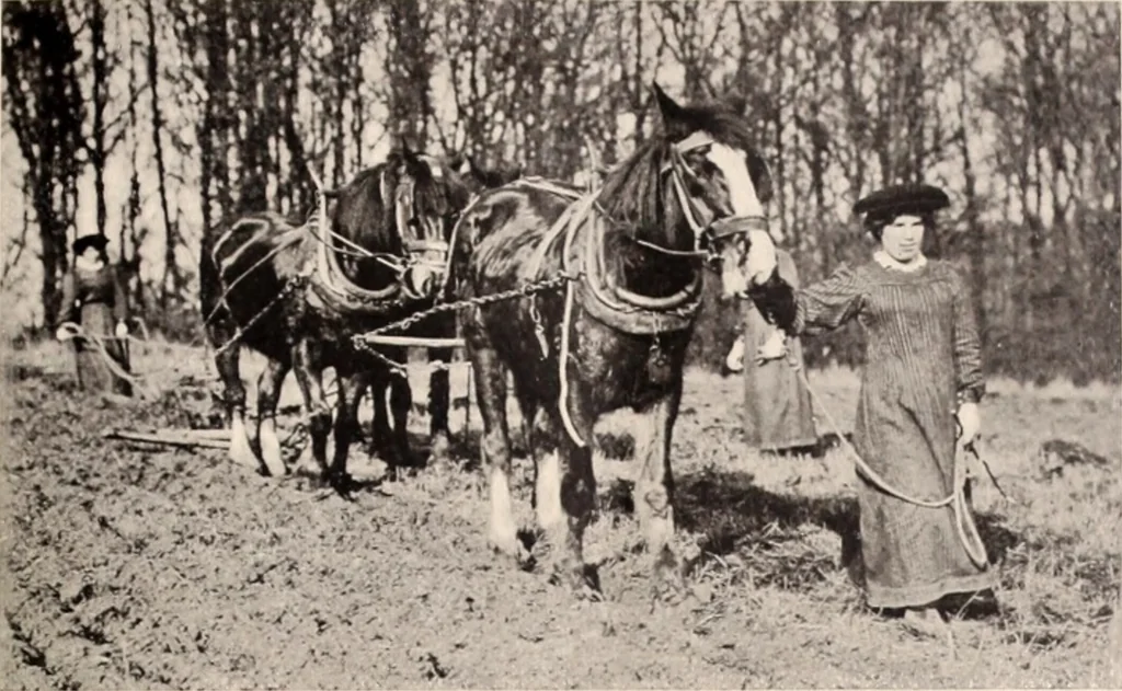 An illustration from American homes and gardens, 1905, leaf 336