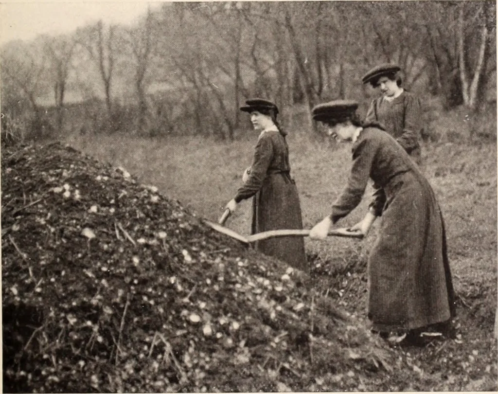 An illustration from American homes and gardens, 1905, leaf 336