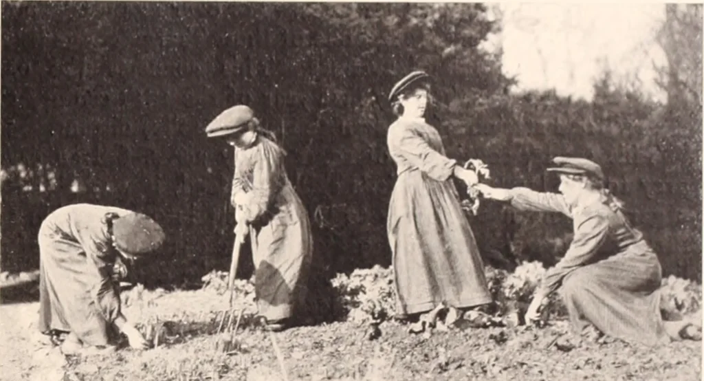 An illustration from American homes and gardens, 1905, leaf 336