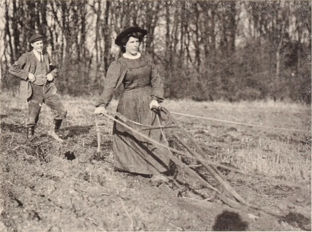 An illustration from American homes and gardens, 1905, leaf 336