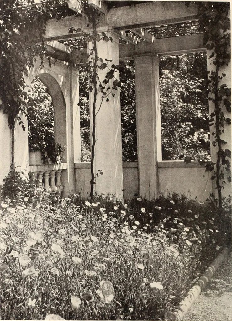 An illustration from American homes and gardens, 1905, leaf 339
