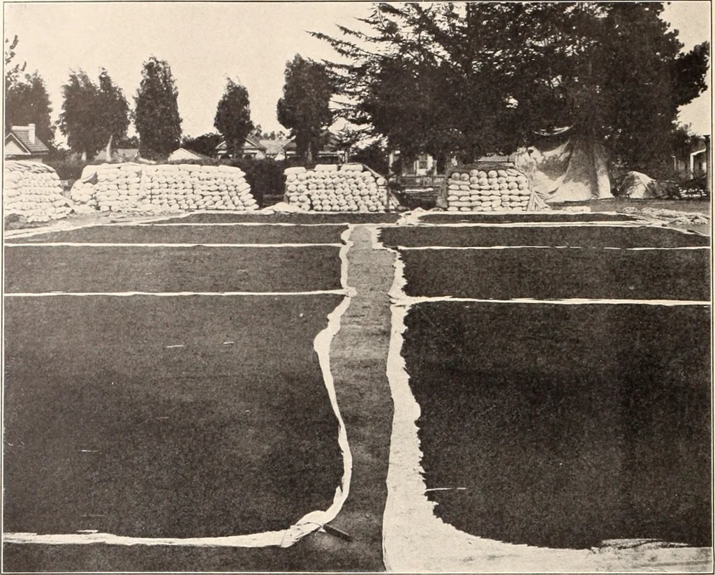An illustration from American homes and gardens, 1905, leaf 341