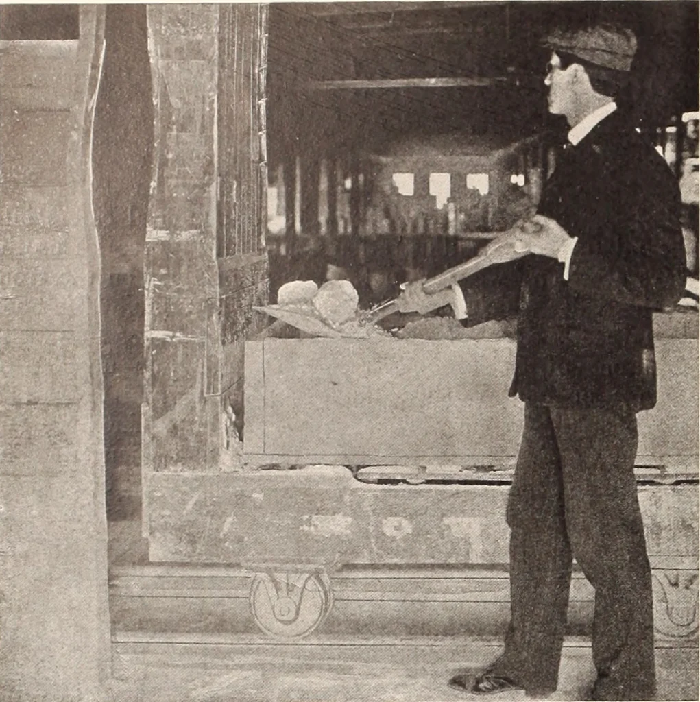 An illustration from American homes and gardens, 1905, leaf 345
