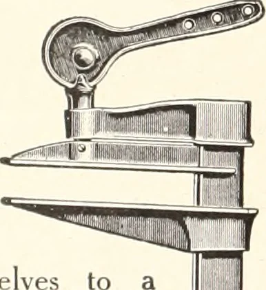 An illustration from American homes and gardens, 1905, leaf 353