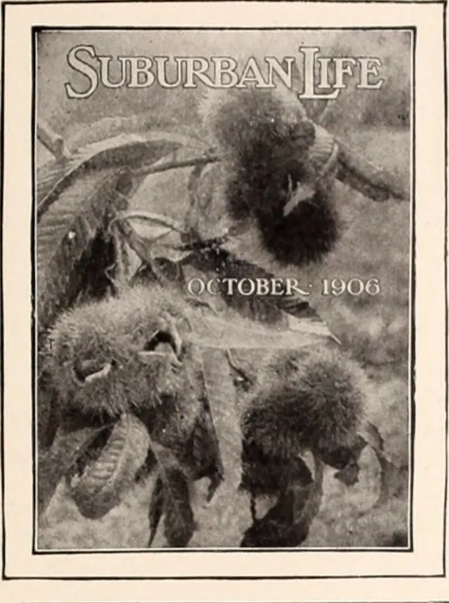 An illustration from American homes and gardens, 1905, leaf 360