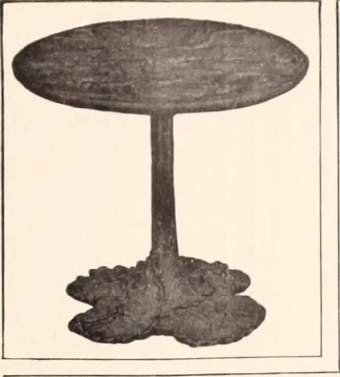 An illustration from American homes and gardens, 1905, leaf 368
