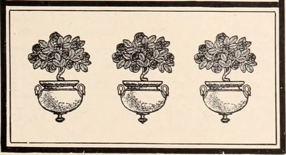 An illustration from American homes and gardens, 1905, leaf 370