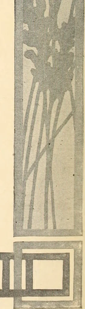 An illustration from American homes and gardens, 1905, leaf 375