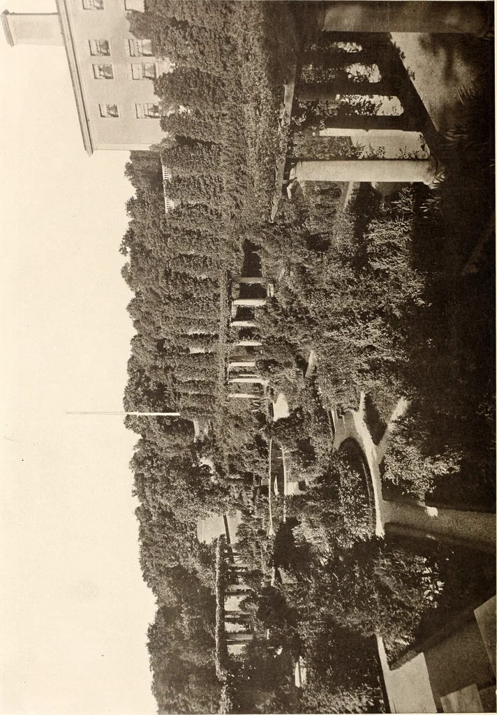An illustration from American homes and gardens, 1905, leaf 385