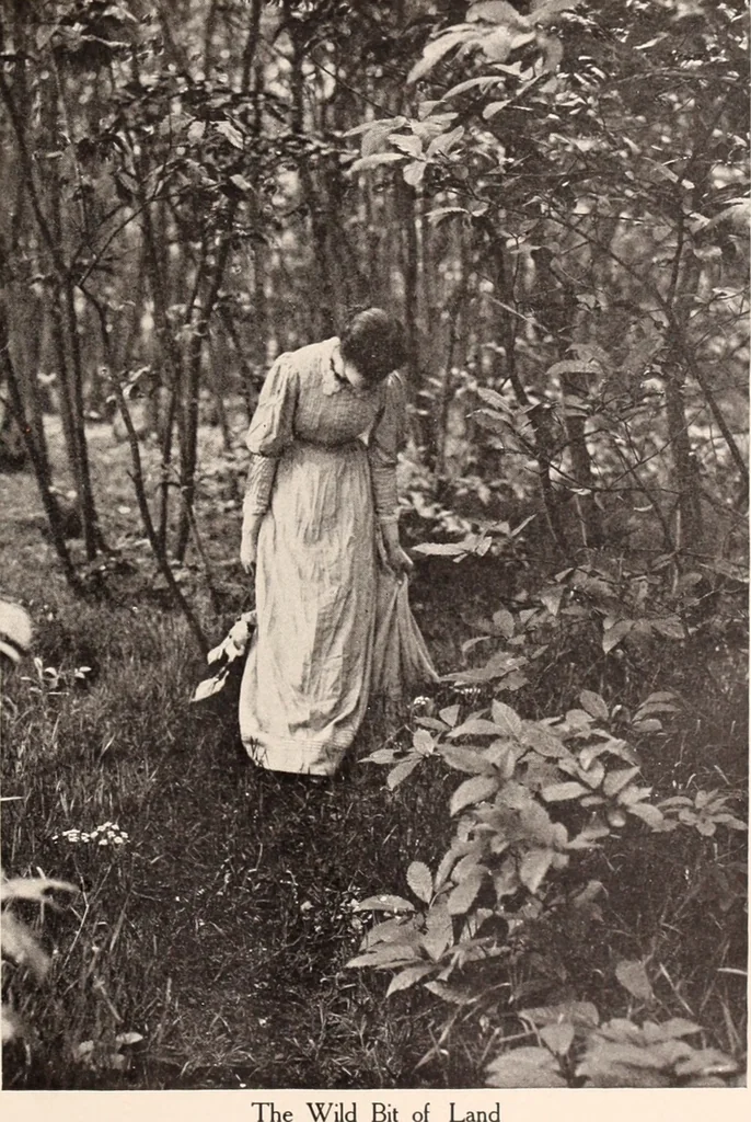 An illustration from American homes and gardens, 1905, leaf 40