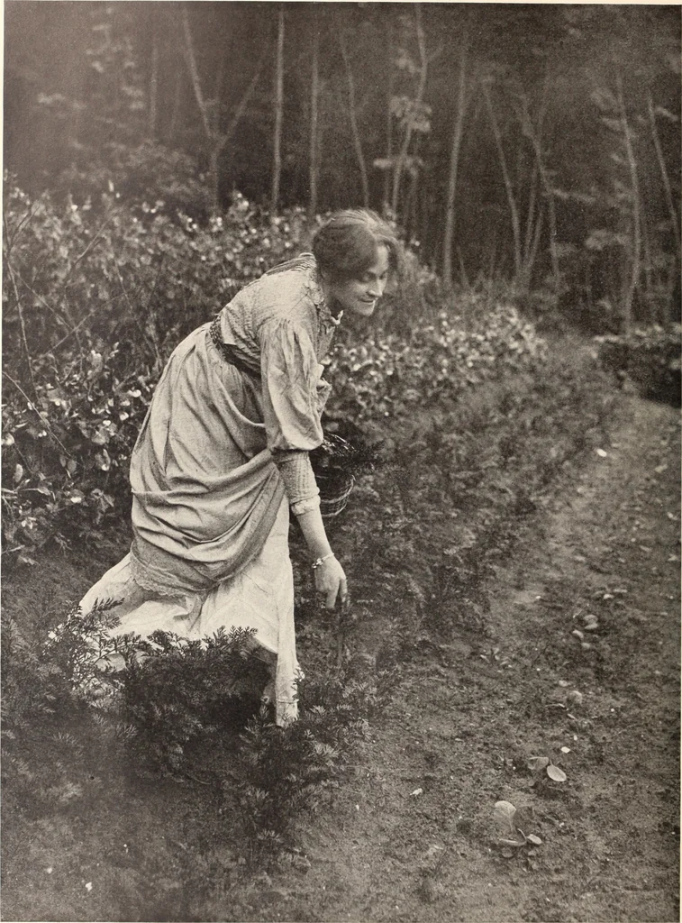An illustration from American homes and gardens, 1905, leaf 41