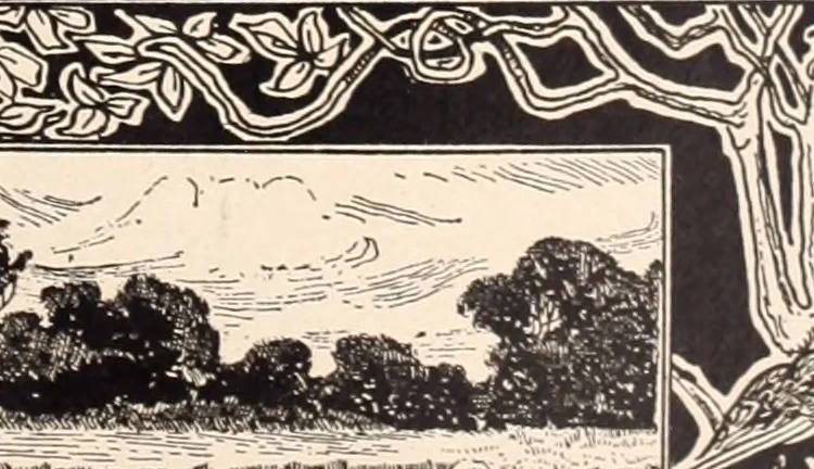 An illustration from American homes and gardens, 1905, leaf 410