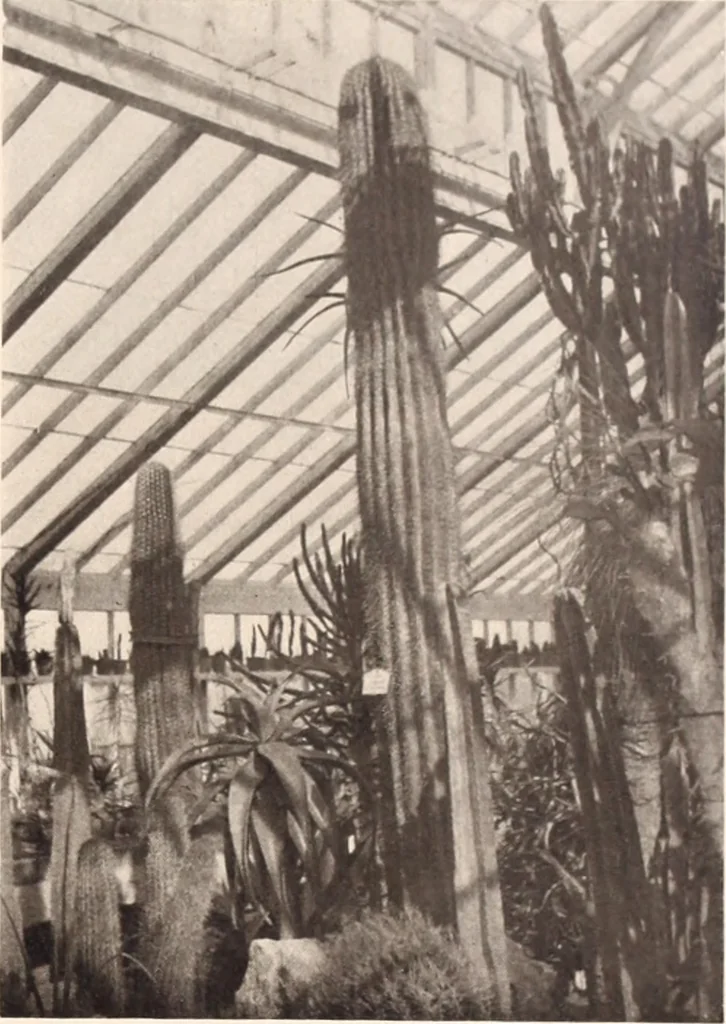 An illustration from American homes and gardens, 1905, leaf 414