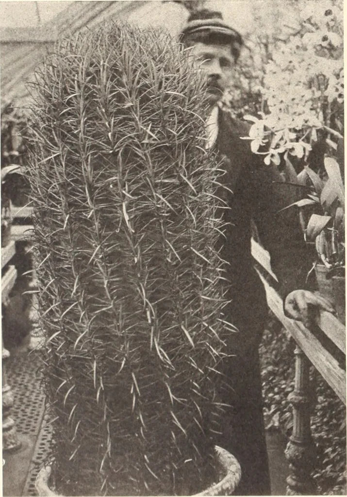 An illustration from American homes and gardens, 1905, leaf 415