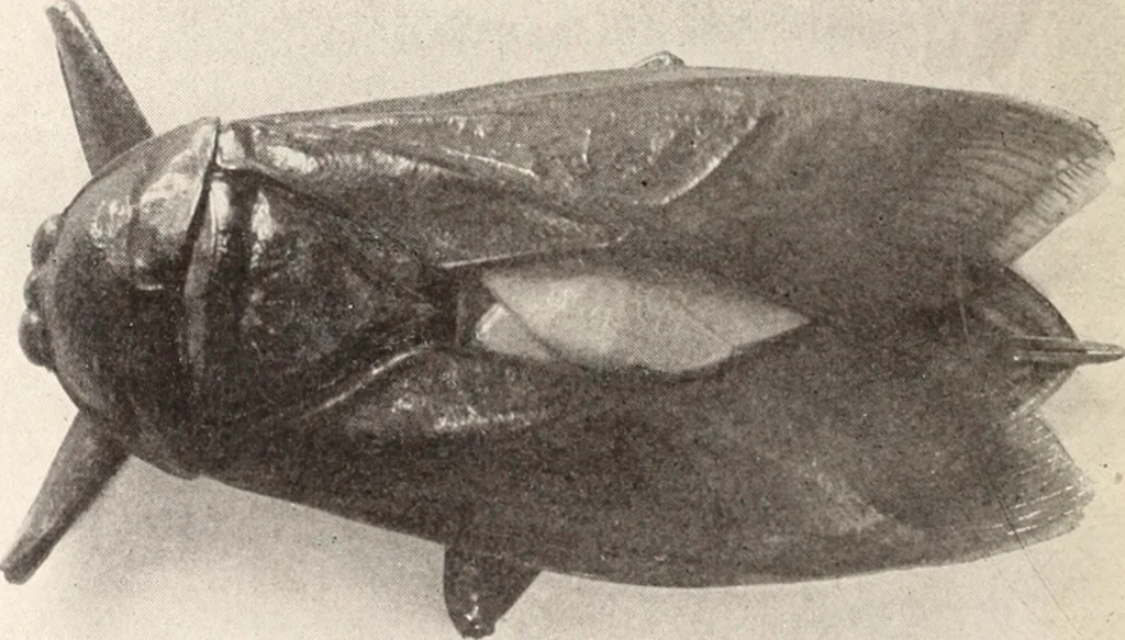 An illustration from American homes and gardens, 1905, leaf 417