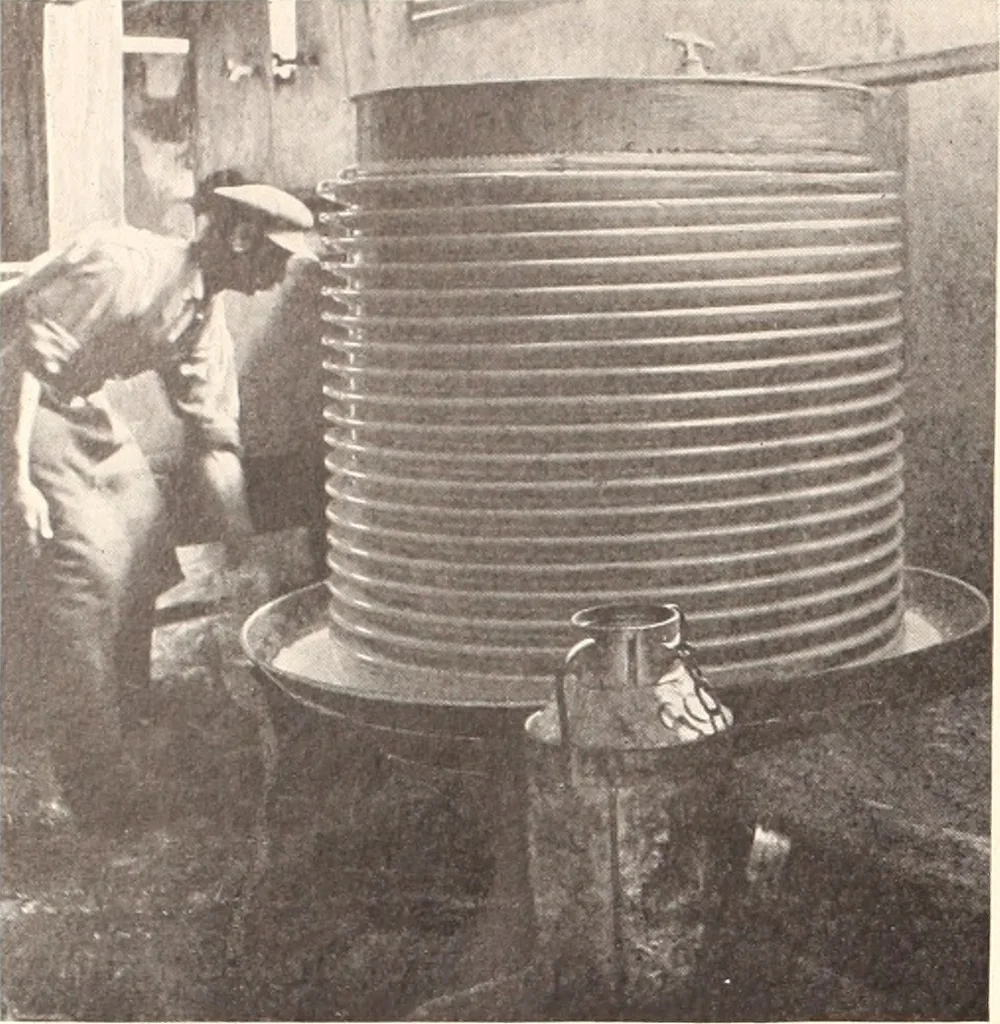 An illustration from American homes and gardens, 1905, leaf 419