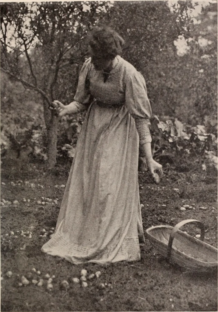 An illustration from American homes and gardens, 1905, leaf 42