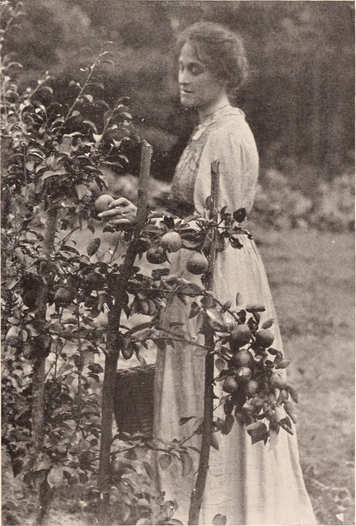 An illustration from American homes and gardens, 1905, leaf 42