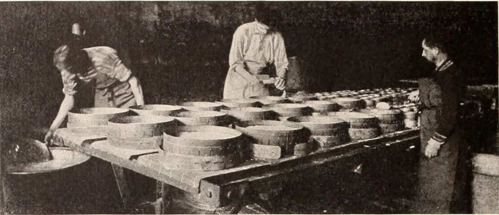 An illustration from American homes and gardens, 1905, leaf 421