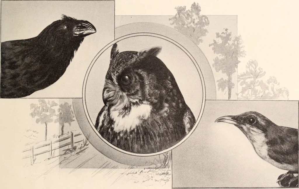 An illustration from American homes and gardens, 1905, leaf 46