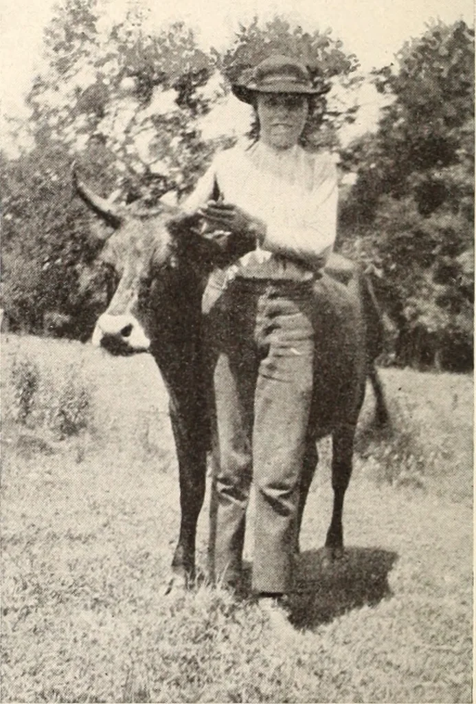 An illustration from American homes and gardens, 1905, leaf 51