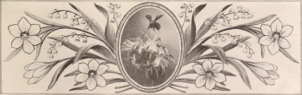 An illustration from American homes and gardens, 1905, leaf 54