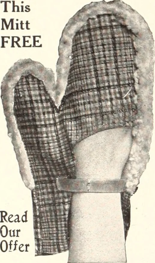 An illustration from American homes and gardens, 1905, leaf 63