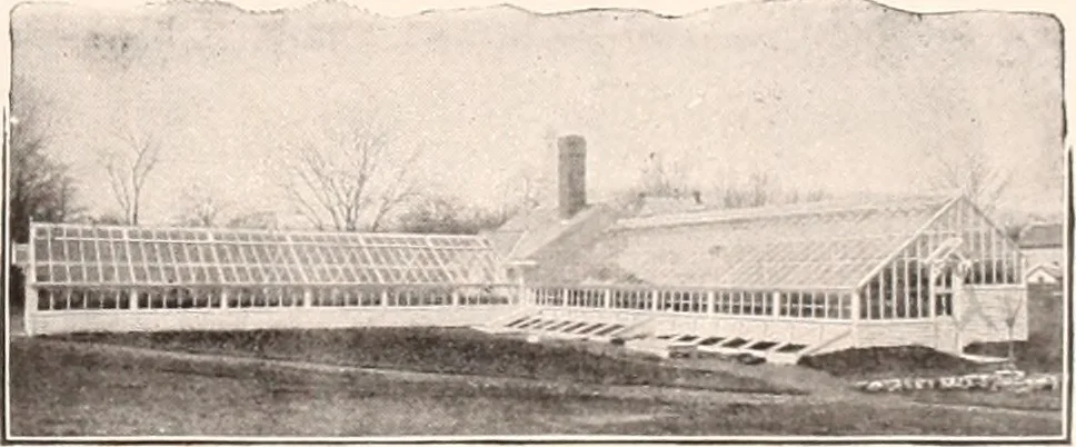 An illustration from American homes and gardens, 1905, leaf 64