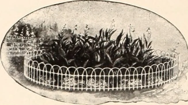 An illustration from American homes and gardens, 1905, leaf 65