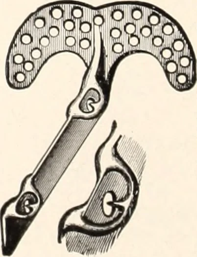 An illustration from American homes and gardens, 1905, leaf 65