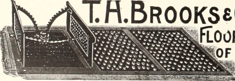 An illustration from American homes and gardens, 1905, leaf 67