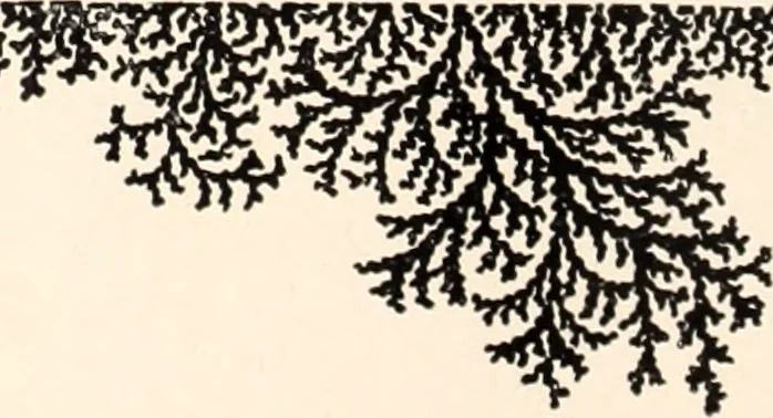 An illustration from American homes and gardens, 1905, leaf 85