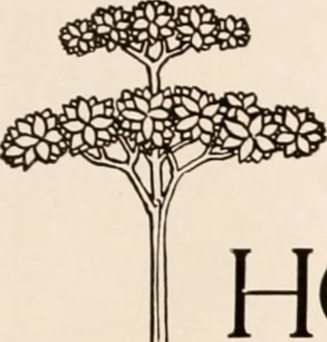 An illustration from American homes and gardens, 1905, leaf 92