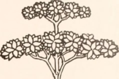 An illustration from American homes and gardens, 1905, leaf 92