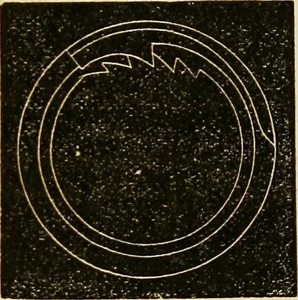 An illustration from American horological journal, devoted to practical horology, 1869, leaf 205