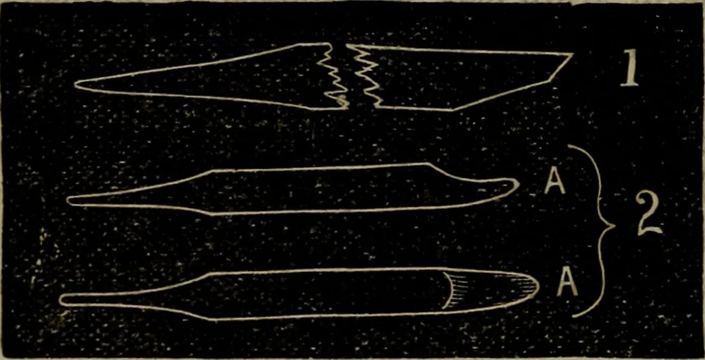 An illustration from American horological journal, devoted to practical horology, 1869, leaf 87
