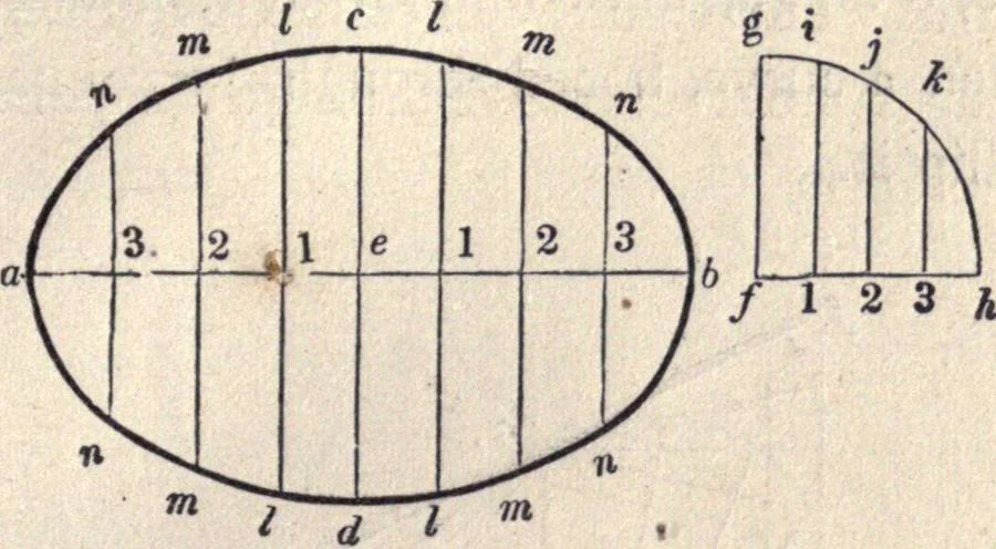 An illustration from The American house-carpenter; a treatise on the art of building, and the strength of materials, 1873, leaf 64
