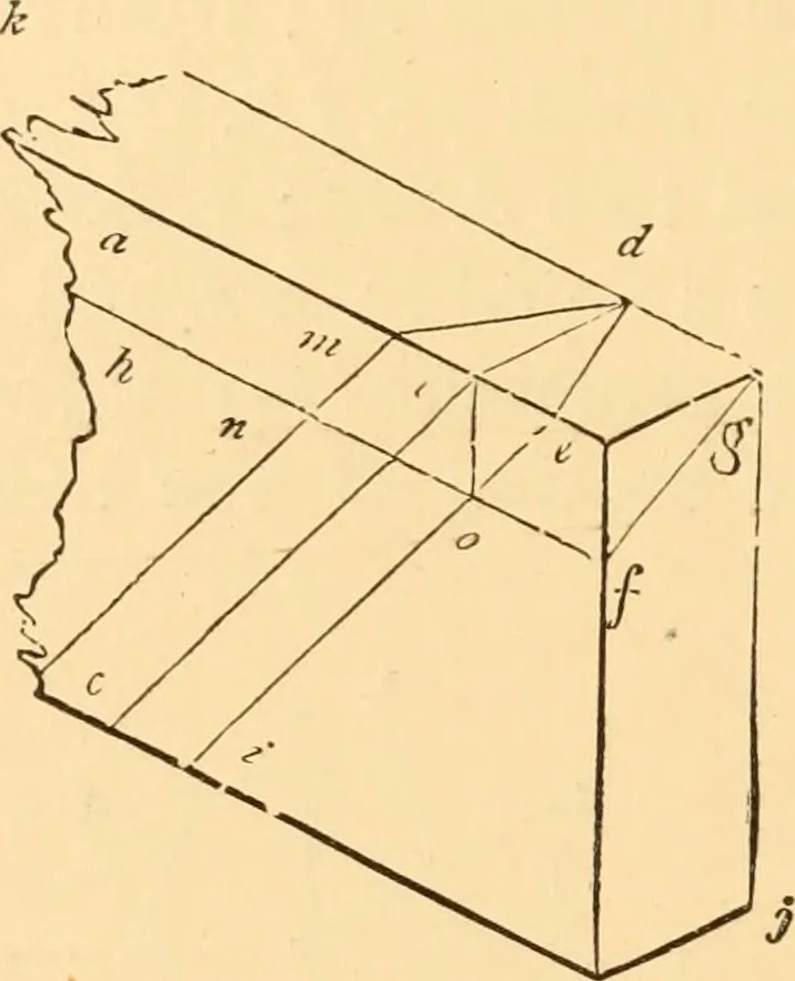 An illustration from The American house carpenter. A treatise on the art of building. Comprising styles of architecture, strength of materials, and the theory and practice of the construction of floors, framed girders, roof trusses, rolled-iron beams, tubular-iron girders, cast-iron girders, stairs, doors, windows, mouldings, and cornices; together with a compend of mathematics. A manual for the practical use of architects, carpenters, stair-builders, and others, 1880, leaf 353