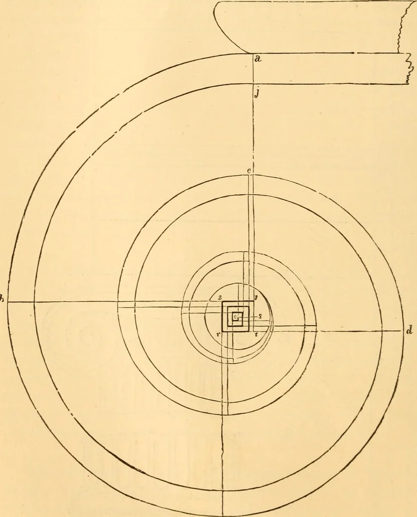 An illustration from The American house carpenter. A treatise on the art of building. Comprising styles of architecture, strength of materials, and the theory and practice of the construction of floors, framed girders, roof trusses, rolled-iron beams, tubular-iron girders, cast-iron girders, stairs, doors, windows, mouldings, and cornices; together with a compend of mathematics. A manual for the practical use of architects, carpenters, stair-builders, and others, 1880, leaf 49