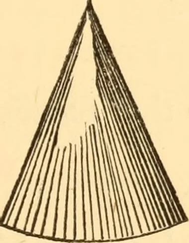 An illustration from The American house carpenter. A treatise on the art of building. Comprising styles of architecture, strength of materials, and the theory and practice of the construction of floors, framed girders, roof trusses, rolled-iron beams, tubular-iron girders, cast-iron girders, stairs, doors, windows, mouldings, and cornices; together with a compend of mathematics. A manual for the practical use of architects, carpenters, stair-builders, and others, 1880, leaf 590